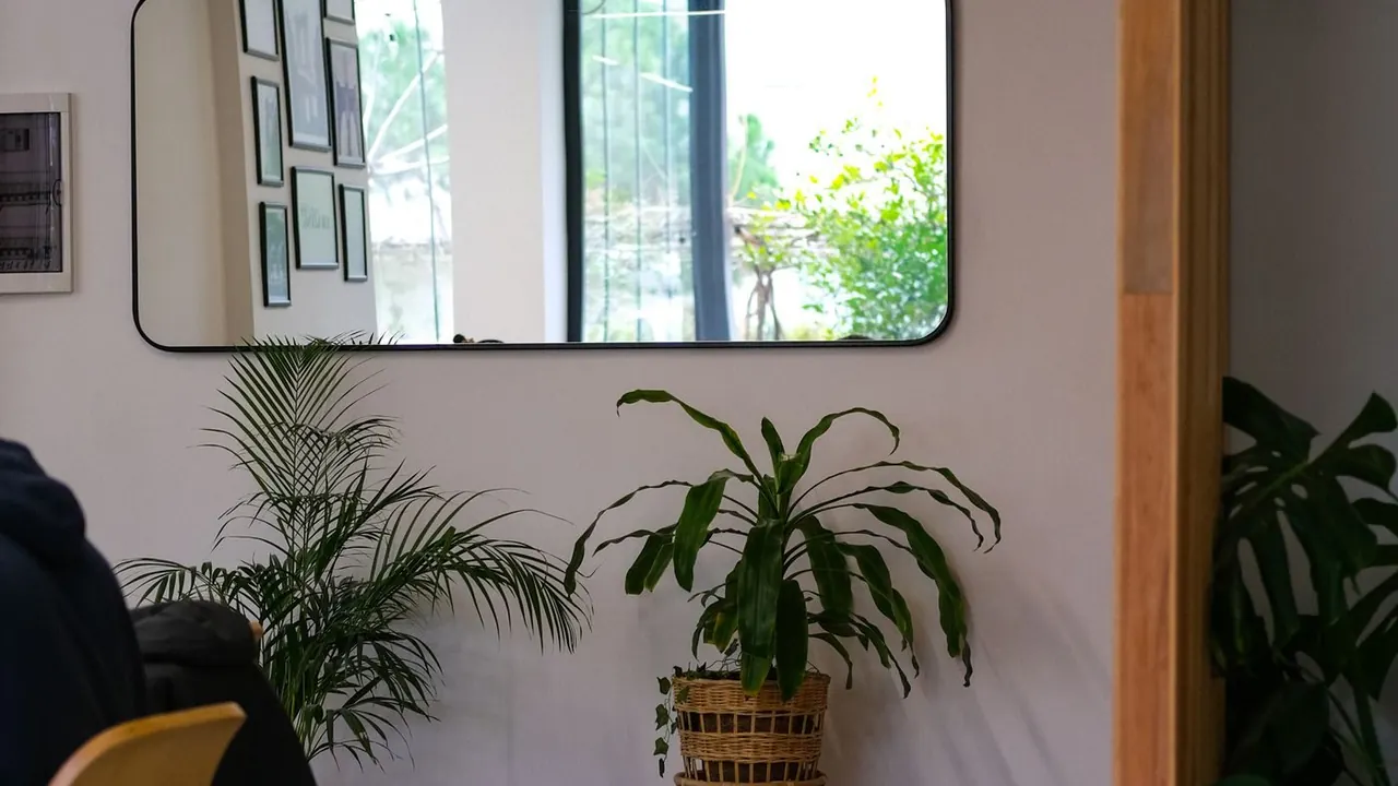 Wall mirror reflecting an interior
